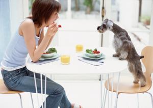 表参道で厳選されたステーキを味わえる