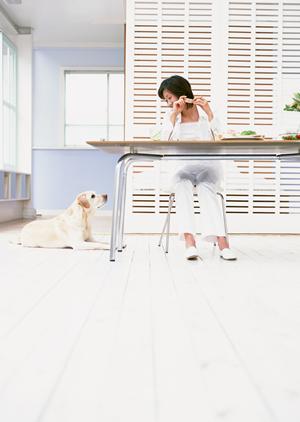 急な診察にも対応する三鷹市の動物病院