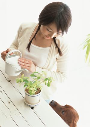 盛岡で安心の永代供養を実現するための完全ガイド