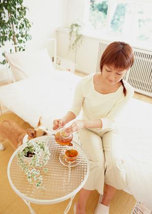 小さな動物も診てもらえる秦野の動物病院
