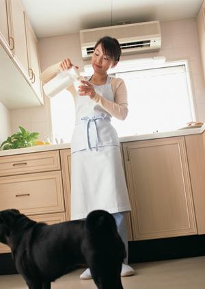 シロアリ駆除の信頼のアサンテ｜土日祝も対応、即日対応可能なプロのサービス
