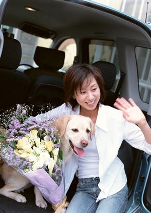 大阪で安心！安いペット輸送サービスを徹底比較してみた